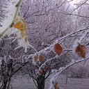 ���� �������, ������ - ��������� 14 ������� 2014 � ������ ������ ��������