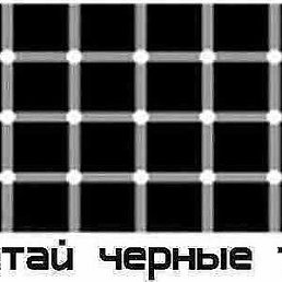 ���� ������, �����, 54 ���� - ��������� 30 ������ 2015