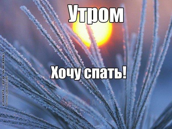    ! - 8  2015  11:20