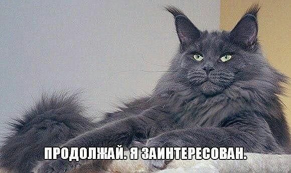  ....  ))))
