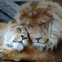 ���� ��������� �������, ������, 72 ���� - ��������� 13 ������ 2015 � ������ ������ ��������