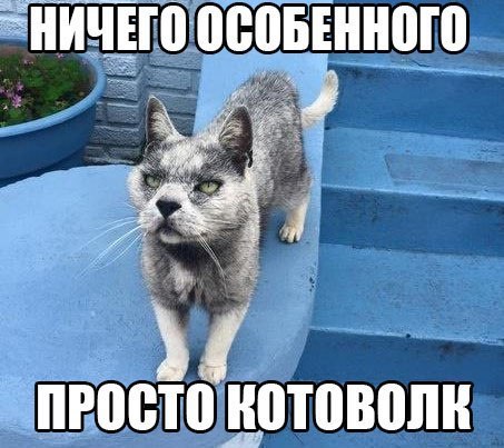    :-) - 27  2015  07:21