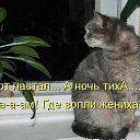 ���� �����, ������� - ��������� 24 ������� 2015 � ������ ������ ��������
