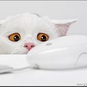 ���� �������, �������, 64 ���� - ��������� 2 ������ 2015 � ������ ������ ��������