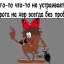  , , 51  -  17  2015    