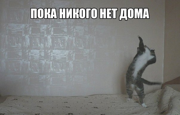       - 1  2015  16:01