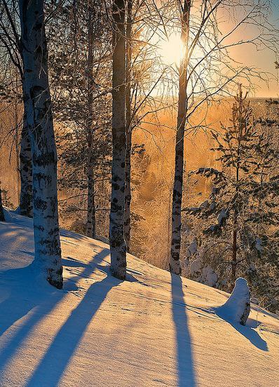 Art & Fun - 3  2015  23:06 - 4