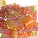 ���� ������, ���������, 45 ��� - ��������� 20 ����� 2015 � ������ ������ ��������