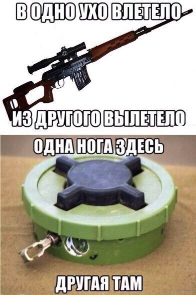    :D - 8  2015  16:48
