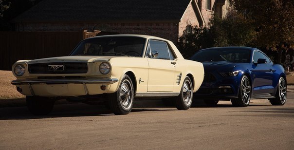 1966 Mustang & 2015 Mustang - 4