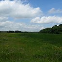 ���� ����, ��������, 52 ���� - ��������� 3 ����� 2015 � ������ �� ������ ���������