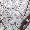 ���� Valka, ������, 63 ���� - ��������� 30 ������ 2015 � ������ ���� ����������