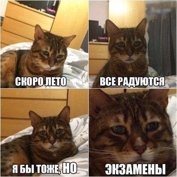    :-) - 16  2015  12:20