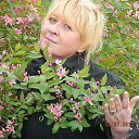 ���� �����, ��������, 54 ���� - ��������� 5 ������ 2015 � ������ ���� ����������