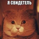 ���� �������, ������ �������� - ��������� 24 ������� 2015 � ������ ���� ����������