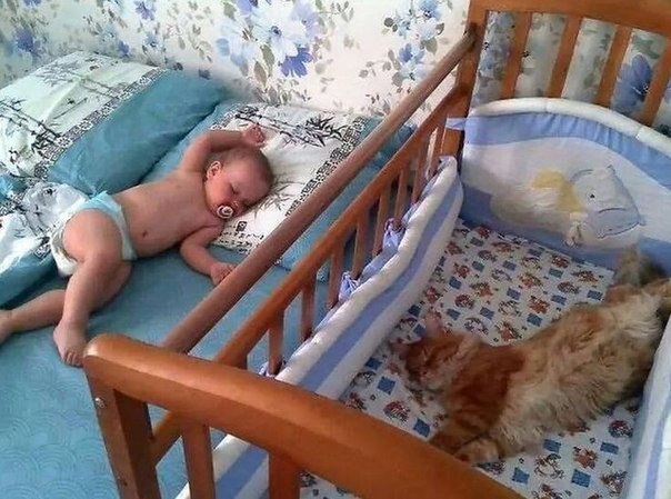  ,  .   https://fotostrana.ru/away?to=/sl/KE2