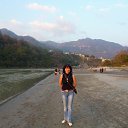  , , 61  -  22  2015     2015