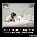 ���� ����, ������, 45 ��� - ��������� 19 ������� 2014 � ������ ������ ��������