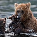 ���� ���������, ����, 48 ��� - ��������� 25 ������� 2015 � ������ ������ ��������