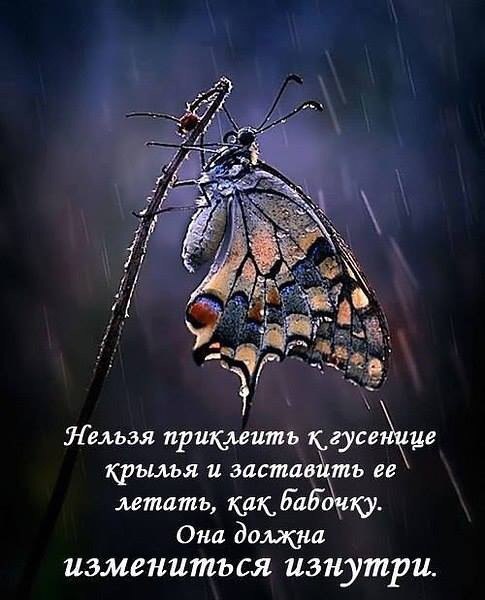   - 16  2015  14:48