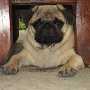 ���� ���, ����� - ��������� 16 ������� 2015 � ������ �����-���������!�