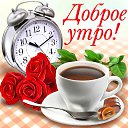 ���� �������, ������ - ��������� 16 ������ 2015 � ������ �������� ��������