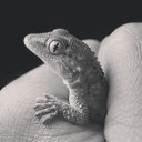 ���� ������, ����, 25 ��� - ��������� 28 ������ 2015