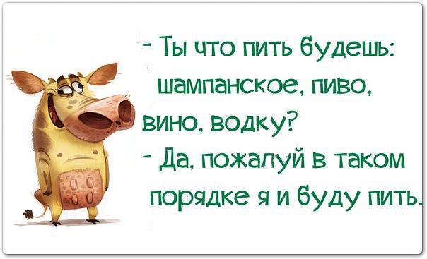   - 6  2015  16:08