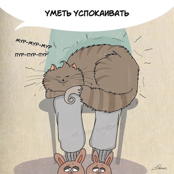 1 марта отмечается День кошек в России :).Нам есть чему поучиться у шерстяных говнюков! - 8