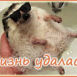���� �����, ������������, 54 ���� - ��������� 6 ����� 2015