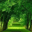  Bagira,  ( /) -  25  2015    