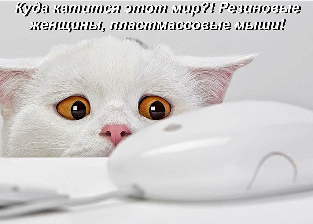  - 20  2015  21:56