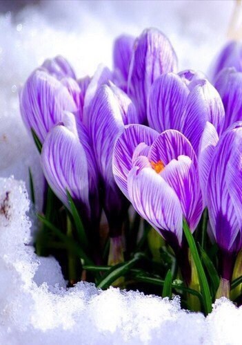 , ,  - 10  2015  12:46 - 4