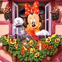 ���� ���, �����-��������� - ��������� 10 ����� 2015 � ������ ���� ����������