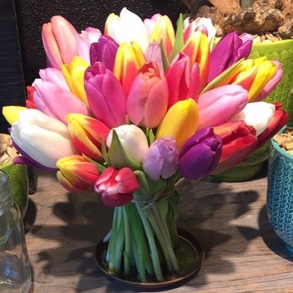 ���� � ������� - 8 ����� 2015 � 14:45