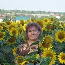 ���� �������, ������ - ��������� 24 ������� 2015