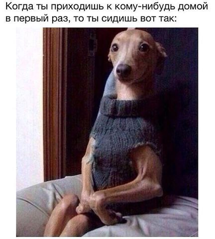  , - 17  2015  08:52