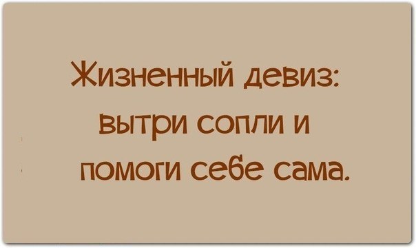   |  |  - 31  2015  12:20