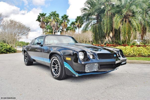 1981 Chevrolet Camaro Z/28 - 2