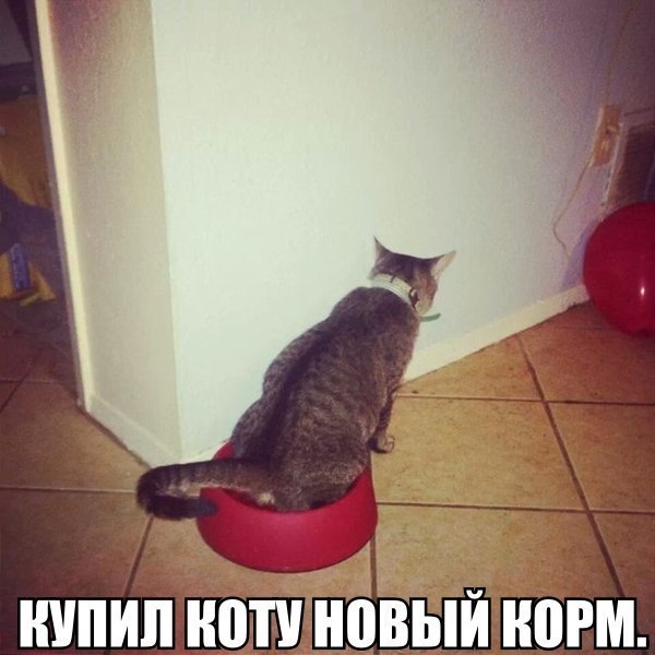 ������������ ���� - 3 ������ 2015 � 22:59