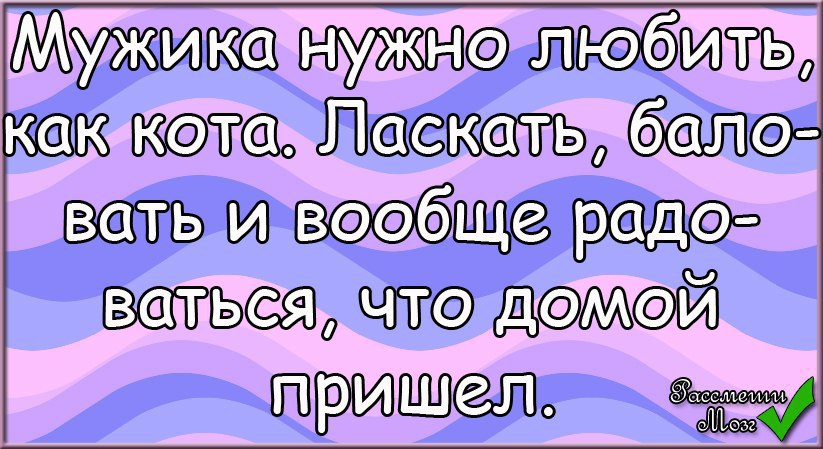  - 10  2015  19:16