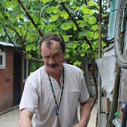 �����, 61 ���, ����