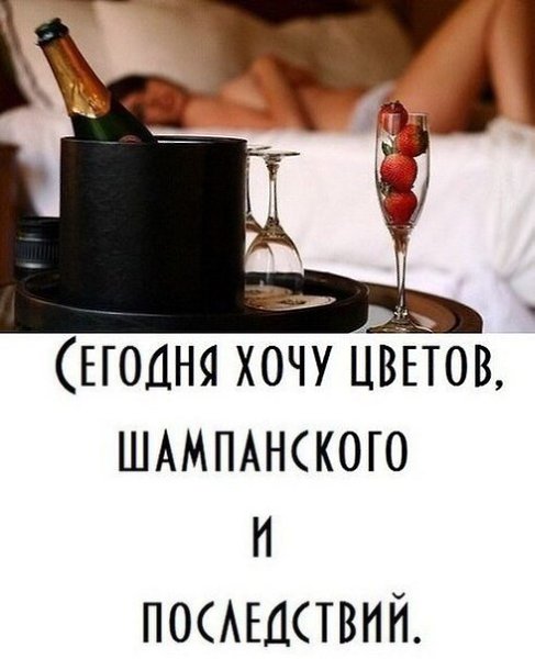 Ни шампанского ни фруктов ни шоколада никто не обнаружил на сей раз в гостиной