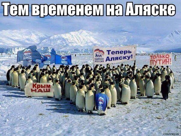 �������. ��������� �� ������. - 22 ������� 2014 � 17:35