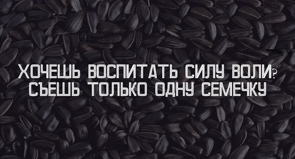 Проверенные силы. Семечки прикольные. Шутки про семечки. Смешная семечка. Высказывания про семечки.