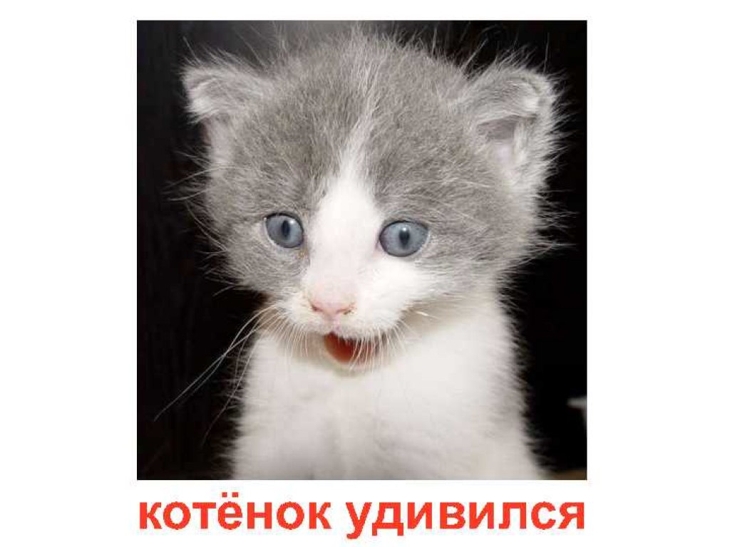    - 19  2015  15:52