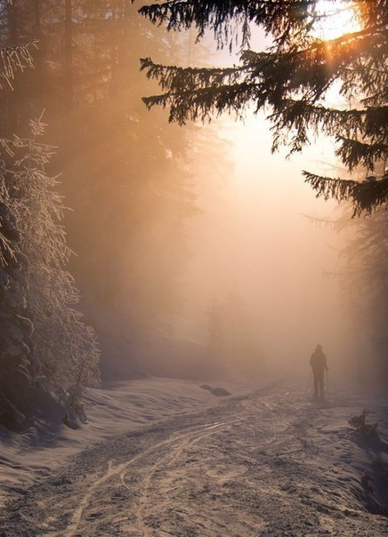 Art & Fun - 3  2015  23:06 - 2