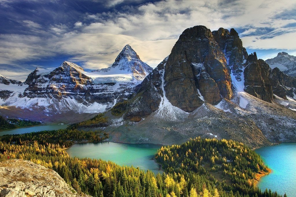     .   (Kevin McNeal),  . ... - 8