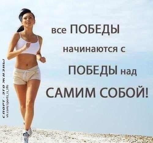  -   - 11  2015  11:49