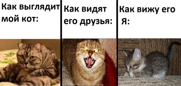   :3 - 7  2015  21:52